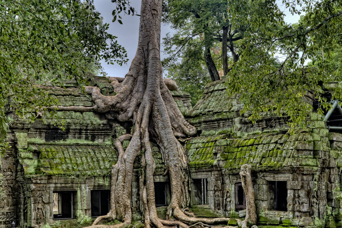 Ultimate Guide to Angkor Wat Photography: Best Spots and Timing
